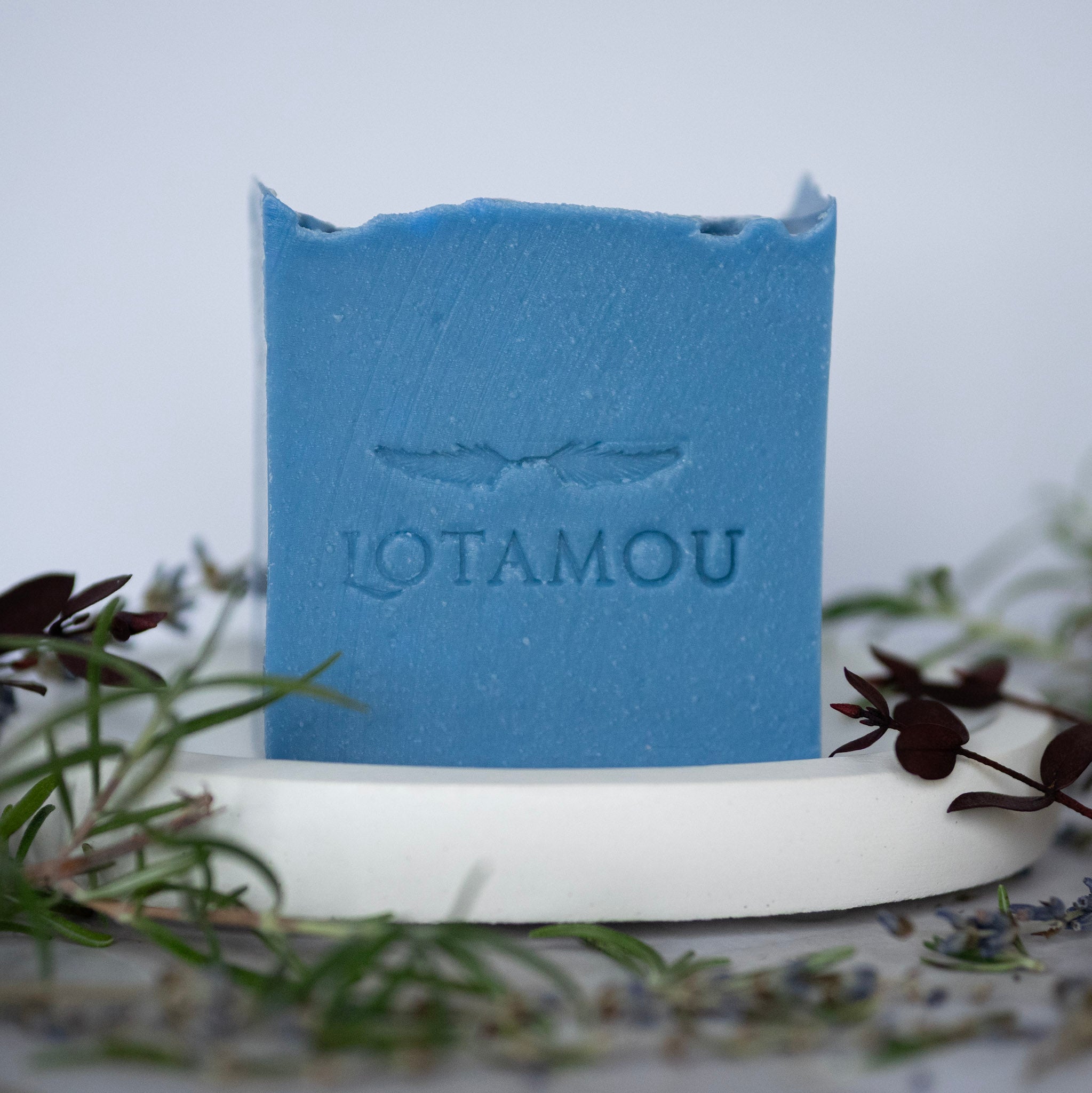 Blue soap bar with 'LOTAMOU' branding on a white stand, surrounded by greenery.