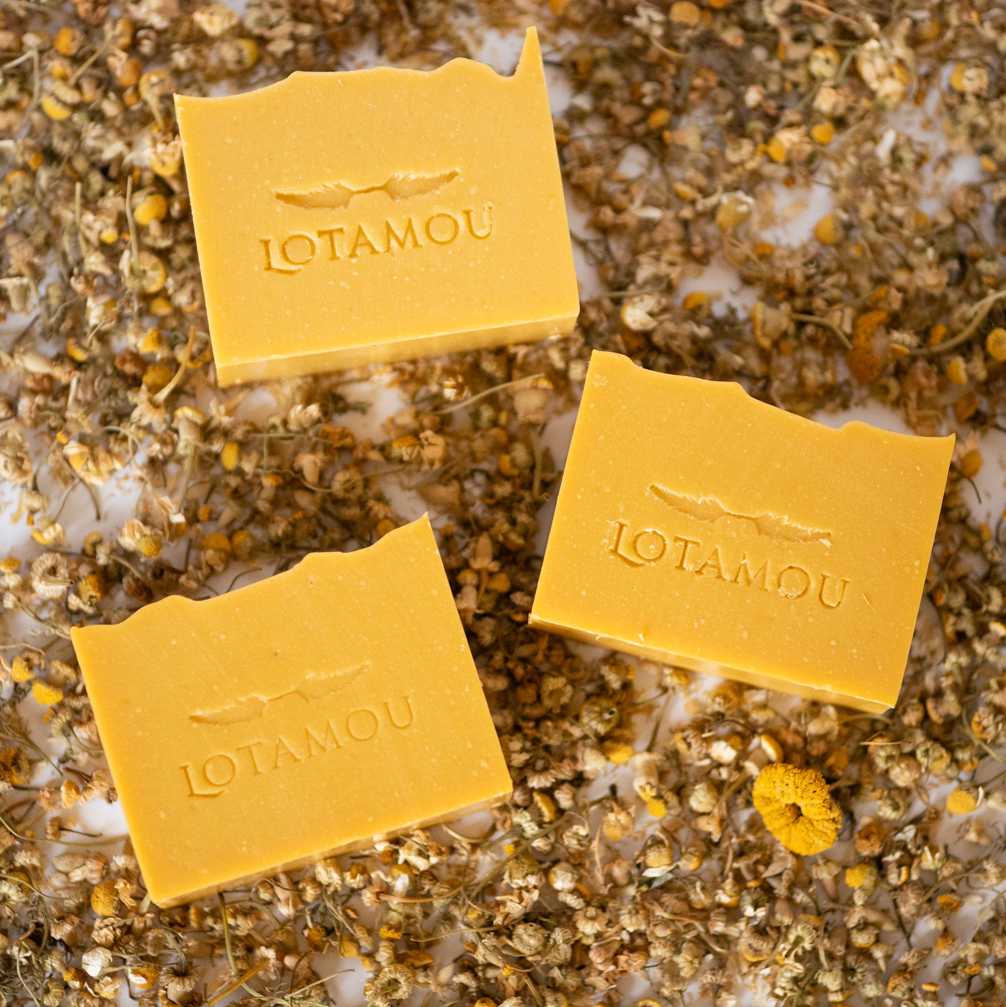 Three yellow soap bars with 'LOTAMOU' branding on a textured surface with dried flowers.