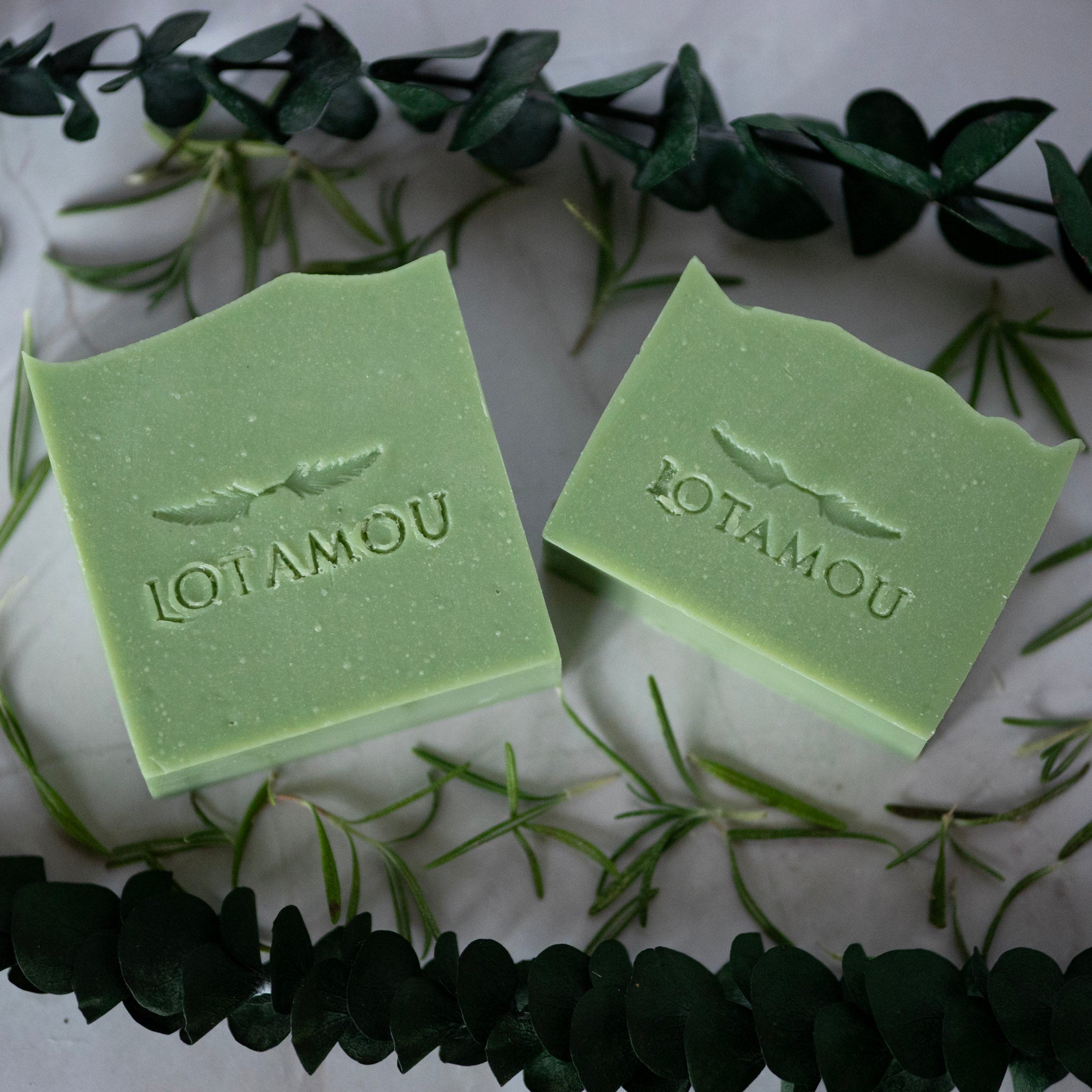 Two green soap bars with 'LOTAMOU' branding on a white surface with green leaves.
