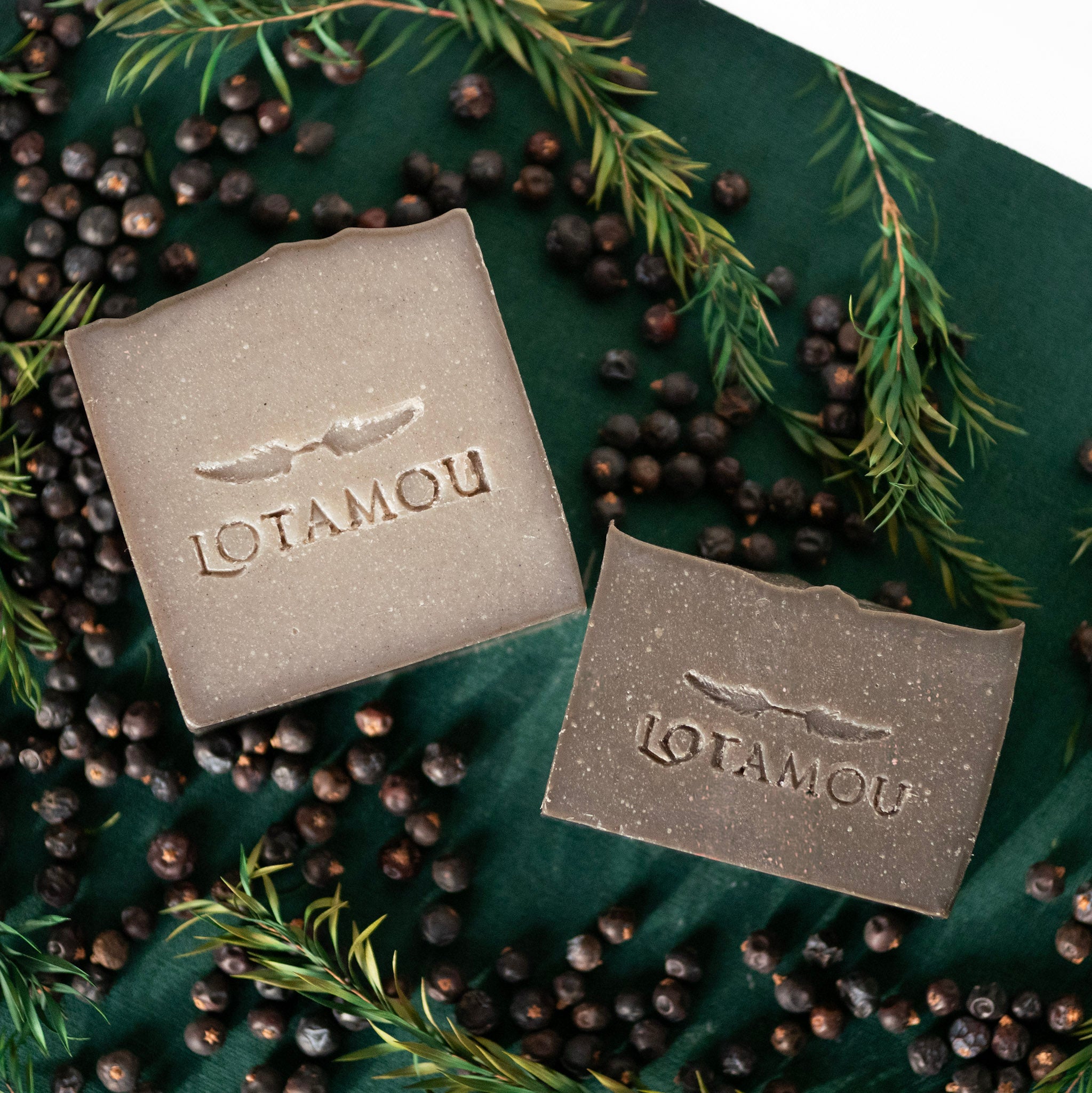 Two Lotamou soap bars on a green background with berries and leaves.